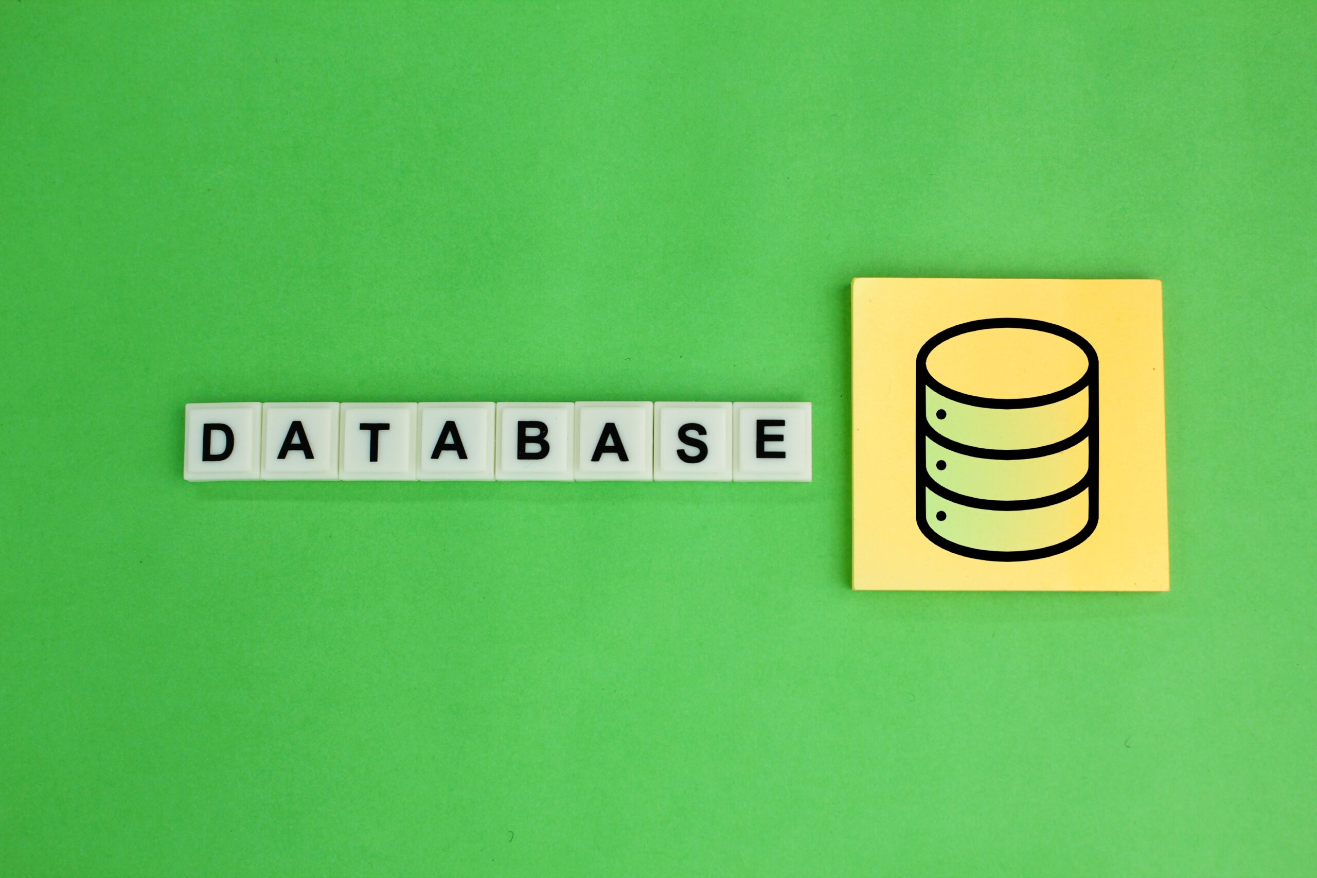 Hvad er en database? En guide til grundlæggende forståelse